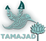 TAMAJAD – Tropical Jungle Wall Art Studio