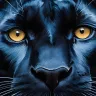 Tropical black panther wall art for premium home decor