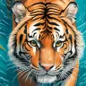 Tiger walking 5 - TAMAJAD collection