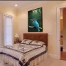 Exotic bird poster styled in warm tropical bedroom decor