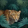 Leopard emerging through tropical foliage